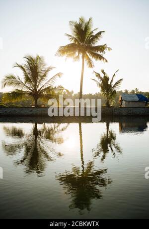 Keralan backwaters, Paravoor del Nord, Kerala, India Foto Stock