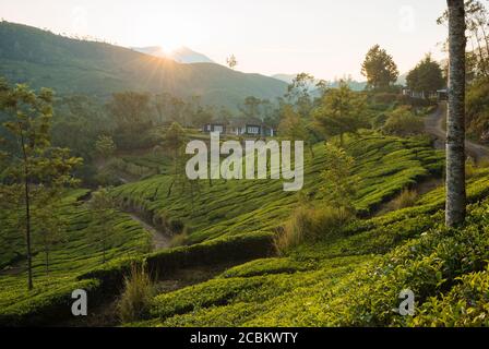 Alba su colline e valle, Top Station, Kerala, India Foto Stock