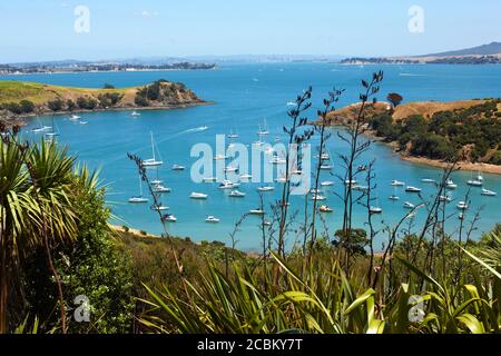 Baia costiera Isola di Waiheke, Auckland, Nuova Zelanda Foto Stock