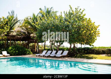 Lettini a bordo piscina dell'hotel, Tulum, Riviera Maya, Messico Foto Stock