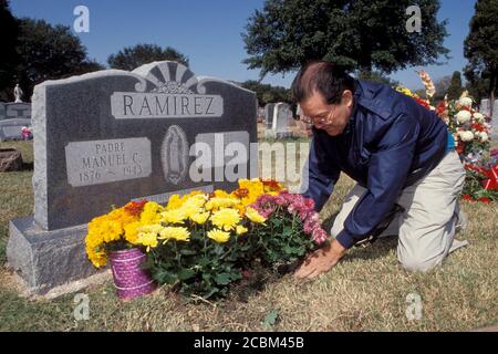 San Antonio, Texas USA: L'uomo ispanico organizza i fiori nella tomba di famiglia per commemorare 'Dia de los Muertos' (giorno dei morti), celebrato dalla maggior parte delle famiglie messicane e messicane-americane ogni 1 novembre. ©Bob Daemmrich Foto Stock