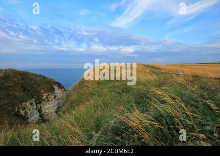 Vista sul Mare del Nord da Bempton Cliffs, East Yorkshire, Regno Unito. Foto Stock