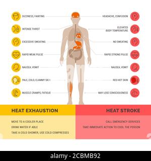 Infografica sull'esaurimento del calore e sulla cura del colpo di calore: Sintomi e pronto soccorso Illustrazione Vettoriale