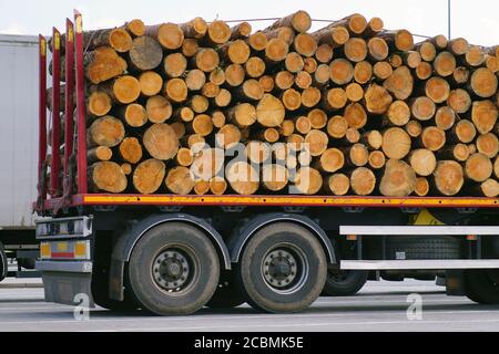 Trasporto del legname. Un semirimorchio di autocarro riempito di tronchi di alberi abbattuto. Foto Stock