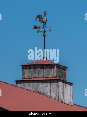 Una paletta meteorologica di Gallo sulla cima di una cupola con un tetto rosso che punta verso la direzione del vento una giornata di sole in estate Foto Stock