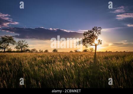 Tramonto vicino a Rottenburg am Neckar / Germania Foto Stock