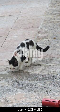 I segreti di Covadonga Foto Stock