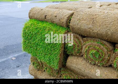 Prato moderne tecnologie di semina in landscape design su pallet di erba rullo vicino, Foto Stock