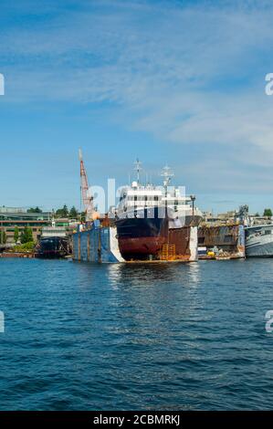 Vista delle banchine secche sul lago Union a Seattle, Washington state, USA. Foto Stock