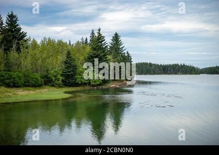 Gli alberi circondano una baia nella Penisola Schoudica nel Acadia National Park nel Maine Foto Stock