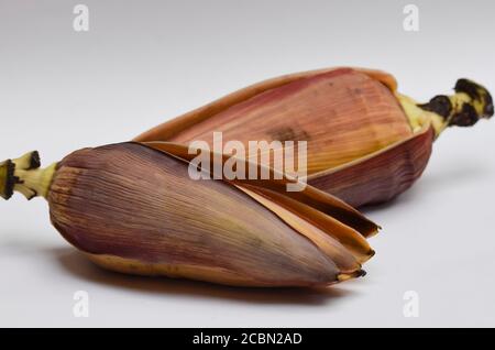 Fiori esotici di Banana commestibili vegetali o fiori di Banana. Ampiamente utilizzato in varie ricette in Asia, subcontinente indiano Foto Stock