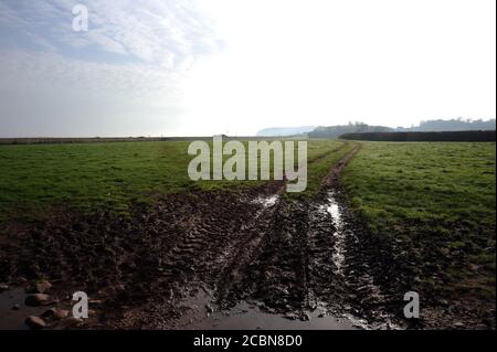 Guardando verso est verso Blue Anchor. Foto Stock