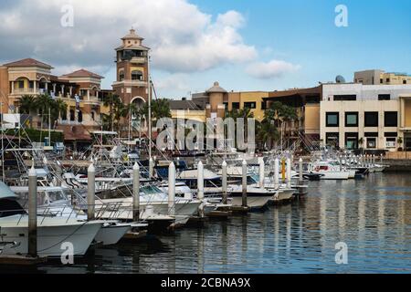 Marina Cabo San Lucas è uno dei principali centri di attività, Cabo San Lucas, Messico Foto Stock