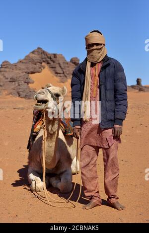 VITA NEL DESERTO IN ALGERIA. NOMADI CON CAMMELLI NEL SAHARA. Foto Stock