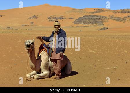 VITA NEL DESERTO IN ALGERIA. NOMADI CON CAMMELLI NEL SAHARA. Foto Stock