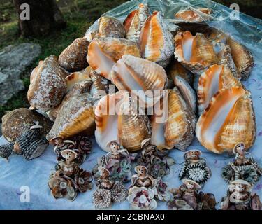 Cestini di conchiglie marine in vendita da venditori ambulanti a Puntarenas, Costa Rica Foto Stock