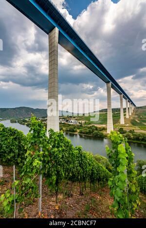 Il ponte Hochmosel che attraversa, strada federale B50 con il ponte Hochmosel, 160 metri di altezza e 1.7 chilometri di lunghezza, sulla valle del fiume Mosella, ne Foto Stock