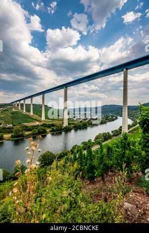 Il ponte Hochmosel che attraversa, strada federale B50 con il ponte Hochmosel, 160 metri di altezza e 1.7 chilometri di lunghezza, sulla valle del fiume Mosella, ne Foto Stock