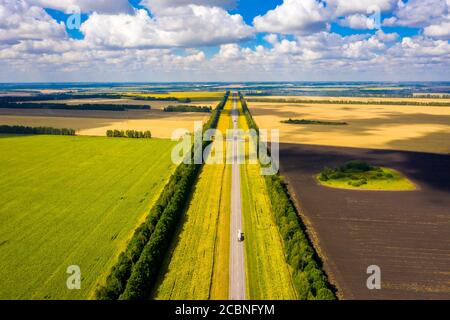 fotografia aerea di una strada rettilinea in cui si guidano le auto andando oltre l'orizzonte e girasoli crescono di lato della strada Foto Stock