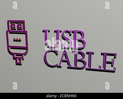 Icona del cavo usb e testo sulla parete, illustrazione 3D per sfondo e computer Foto Stock