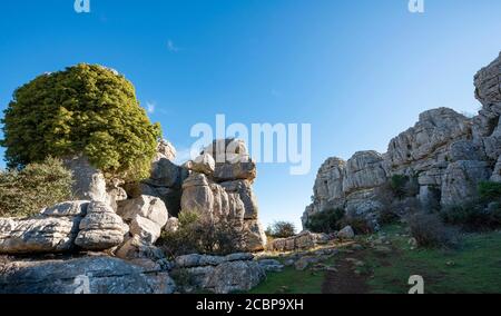 Le formazioni rocciose di calcare, El Torcal Riserva Naturale, Torcal de Antequera, provincia di Malaga, Andalusia, Spagna Foto Stock