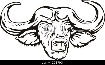 Testa di illustrazione in stile retrò di un bufalo africano o bufalo di Capo Syncerus, un grande bovino dell'Africa sub-sahariana, visto dalla parte anteriore Illustrazione Vettoriale