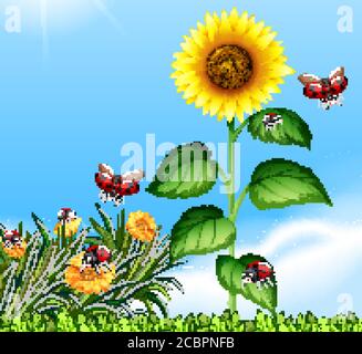 Scena vuota con ladybugs in giardino con girasole grande a illustrazione diurna Illustrazione Vettoriale