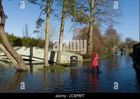 Persone che camminano lungo un percorso allagato, nel North Walls Recreation Ground, Winchester, a causa del fiume Itchen che esplose le sue rive. Winchester, Hampshire, Regno Unito. 16 Feb 2014 Foto Stock