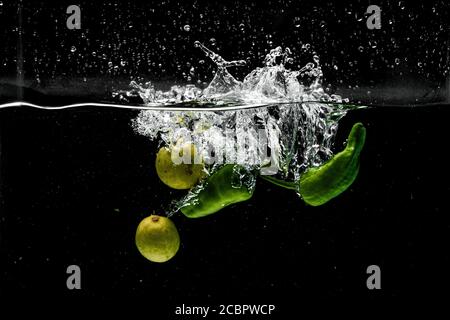 Freeze Motion di peperoni Jalapeno con acqua Splash su nero sfondo Foto Stock