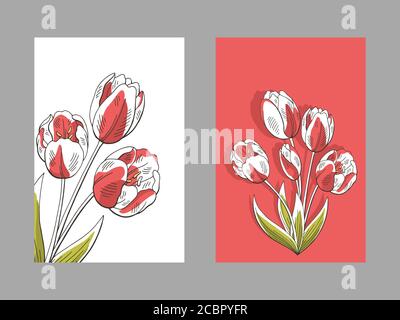 Tulipano fiore bouquet grafico colore verticale banner biglietto d'auguri set vettore di illustrazione dello schizzo di sfondo Illustrazione Vettoriale