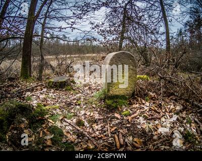 Primo piano di una lapide in una foresta autunnale Foto Stock