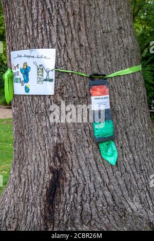 Northampton, Regno Unito, 15 agosto 2020. Una cucciolata residente maschile locale che raccoglie nell'area giochi per bambini di Abington Park. Un gruppo di amici di Abington Park che sono tutti volontari, uscire ogni giorno in tutto il parco cercando di tenerlo in ordine, che è un lavoro senza fine. Credit: Keith J Smith./Alamy Credit: Keith J Smith./Alamy Live News Foto Stock