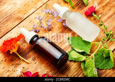 Bottiglie di olio essenziale con erbe fresche e fiori. Erbe naturali medicina Foto Stock