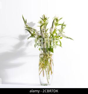 Un bouquet di veronica bianca con campane bianche in un vaso alto e stretto su sfondo bianco. Foto Stock