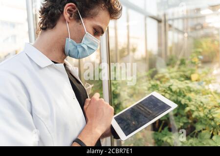 Vista laterale di un giovane scienziato maschile che utilizza un tablet digitale per Analizzare la salute delle piante in serra durante l'epidemia di COVID-19 Foto Stock