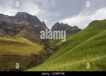 Prateria Afroalpina dei Monti Drakensberg, Sudafrica, con parti che sono cresciute dopo un incendio e parti che non sono bruciate Foto Stock