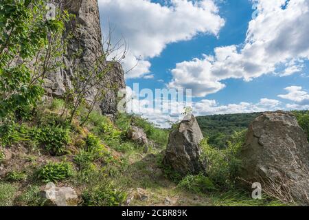 Vista lungo una parete rocciosa dello Stenzelberg nel mese di luglio. Foto Stock
