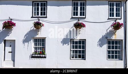 Finestre e fiori appesi contro una parete bianca in una proprietà d'epoca a Langstone Harbour, Hampshire, Regno Unito Foto Stock