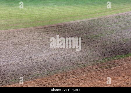 Una fotografia a cornice completa dei terreni agricoli, che mostra diversi colori nei campi Foto Stock