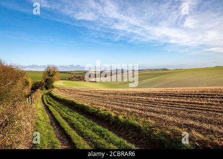 Un sentiero lungo un paesaggio ondulato di South Downs, in una giornata di inverni soleggiati Foto Stock