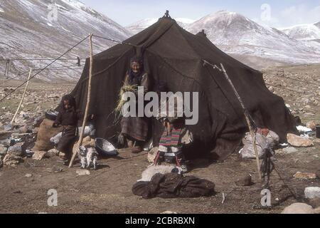 TIBET - LA FAMIGLIA NOMAD E LA LORO TENDA. Foto Stock