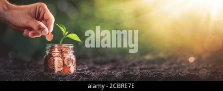 Mano che aggiunge Penny al vaso di moneta con pianta in suolo - crescita aziendale / concetto di investimento Foto Stock