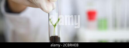 Biologo qualificato in laboratorio Foto Stock