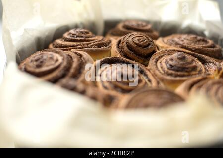 Panini cotti al forno con cinabro, dolci alla cannella a forma rotonda. Dolci saporiti Foto Stock