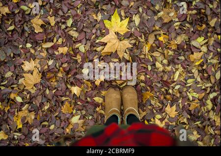 Autunno scena gambe donna Foto Stock