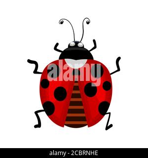 Ladybird isolato su sfondo bianco. Icona Ladybug piccola. Cartello rosso di bug lady. Vista dall'alto del cartone animato nero e rosso scarabeo signora. Simbolo della natura, Illustrazione Vettoriale