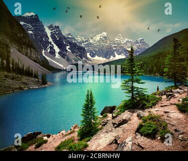 CAN - ALBERTA: Lago Peyto nel Parco Nazionale di Banff Foto Stock