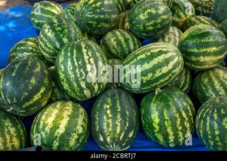 Vendita di cocomeri belli e dolci dalla fattoria. La vendita avviene in un certo luogo sul mercato aperto. Foto Stock