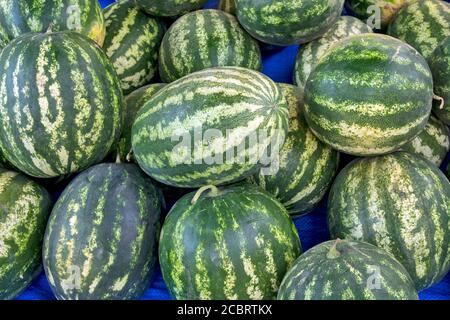 Vendita di cocomeri belli e dolci dalla fattoria. La vendita avviene in un certo luogo sul mercato aperto. Foto Stock