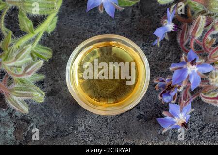 Una coppa di olio di borragine con fresche piante in fiore Foto Stock